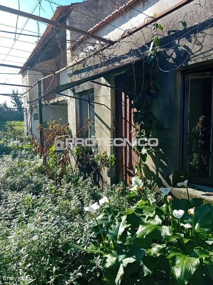 Moradia T4 p/ reabilitação – Esgueira - Grande imagem: 4/13