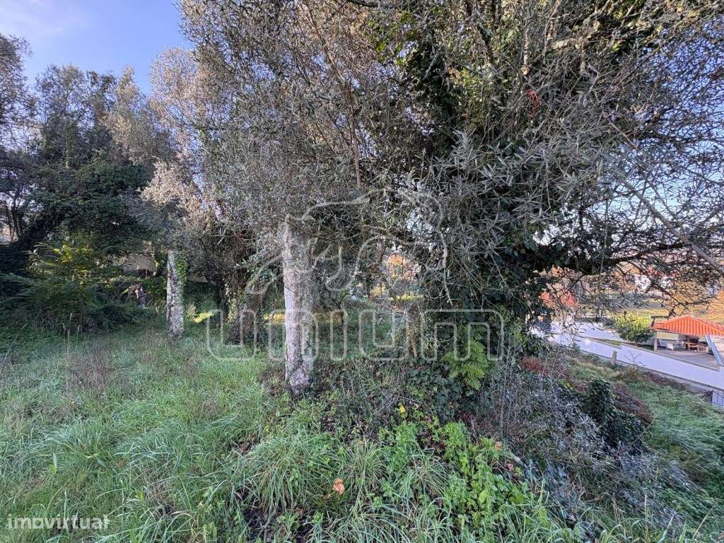 Propriedade para recuperar em Deão-19