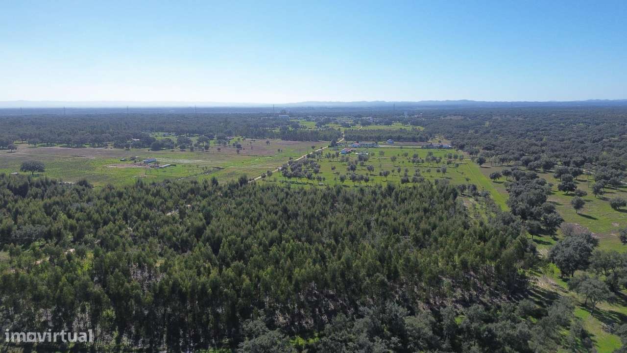 Terreno Rústico com 1,8 ha junto à Barragem de Fonte de Serne-5