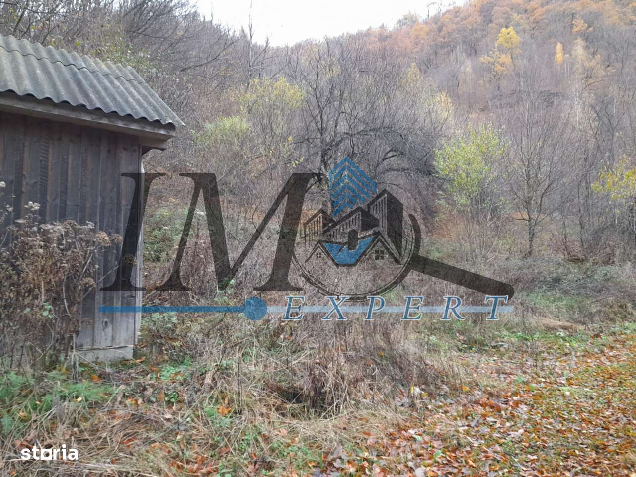 Teren extravilan direct la șoseaua TRANSALPINA - Imagine principală: 4/5