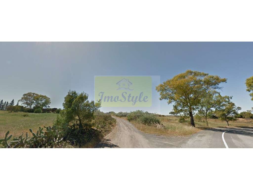 Terreno agrícola no Azinhal - Grande imagem: 2/3