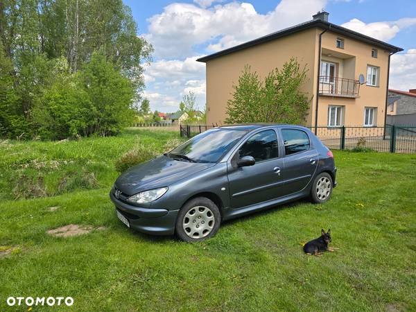 Peugeot 206 - 6