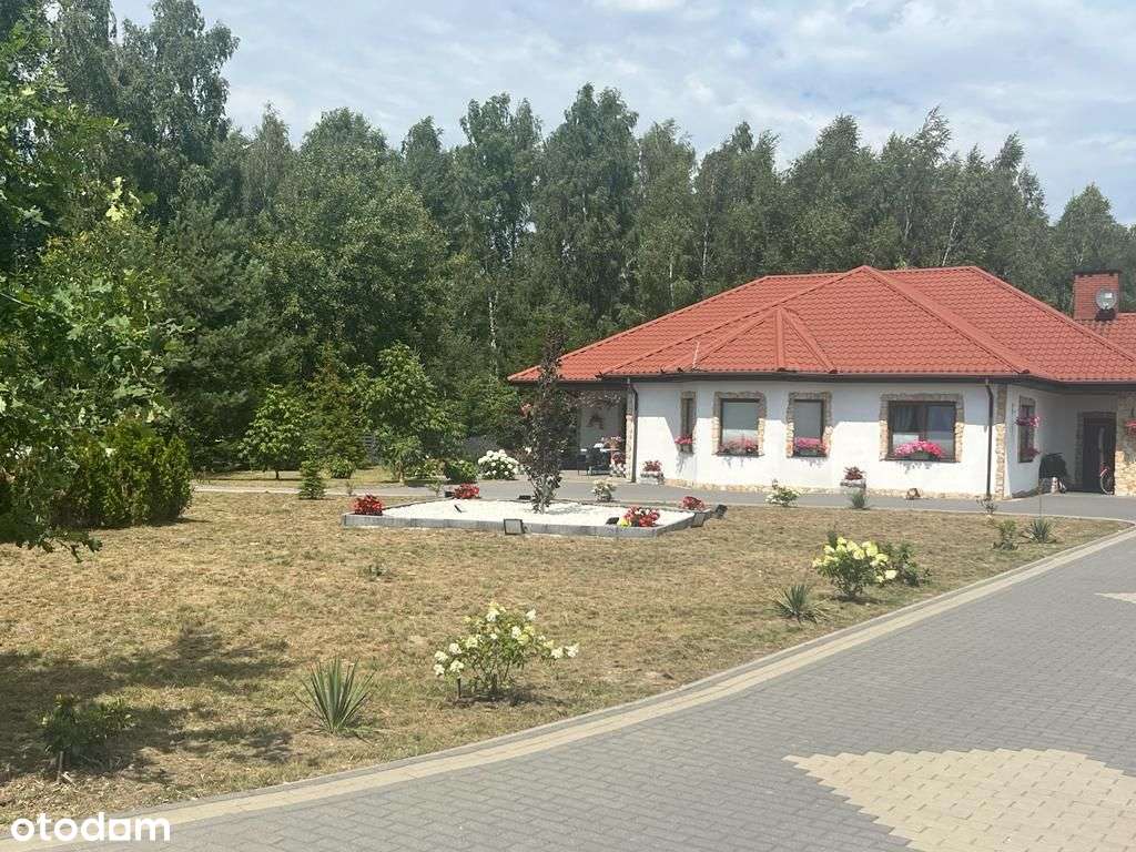 Dom jednorodzinny z basenem - Pełny obrazek: 3/20