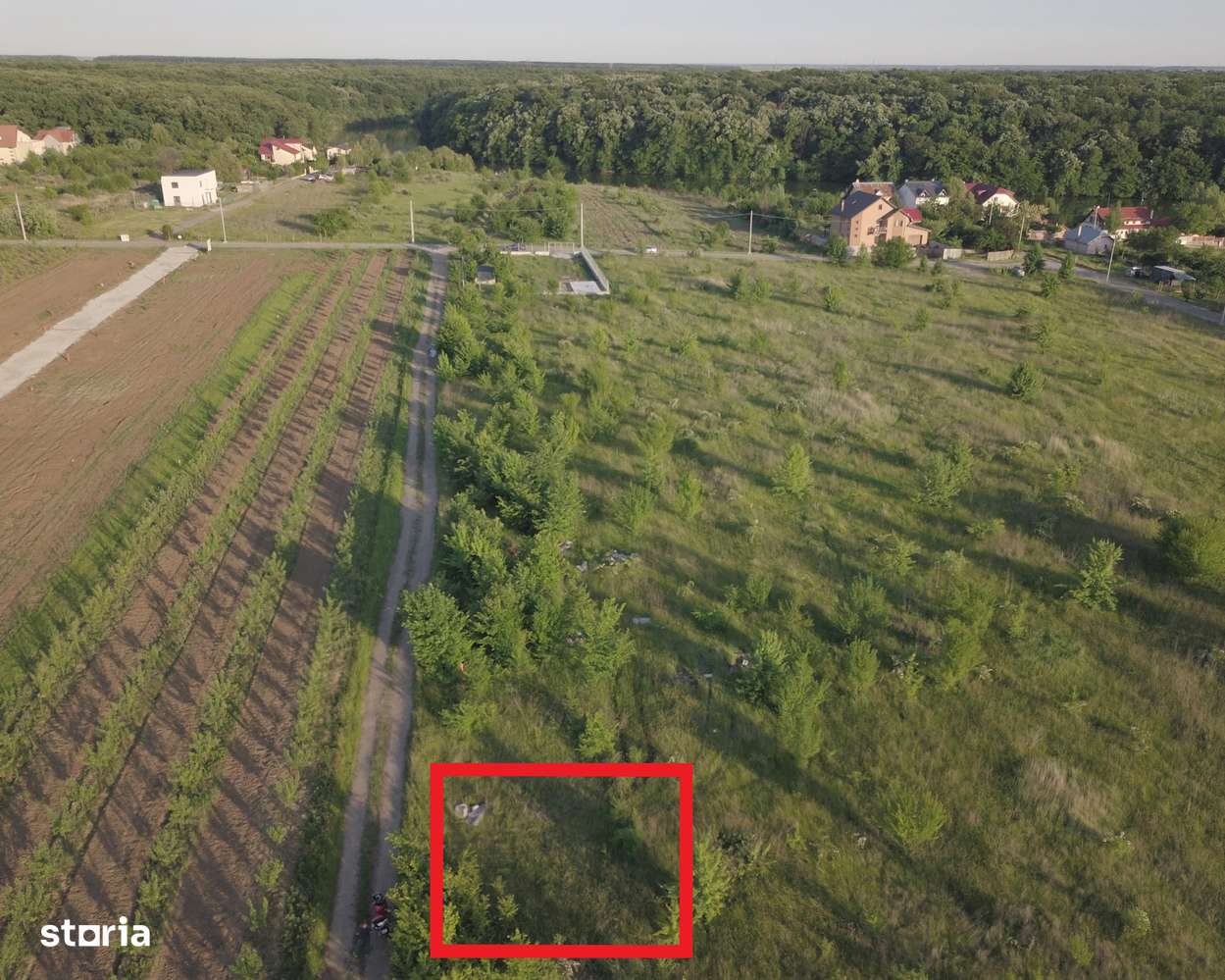 Branesti, 500mp, str. Violetelor, Lacul Pasarea, Padurea Cucu-2