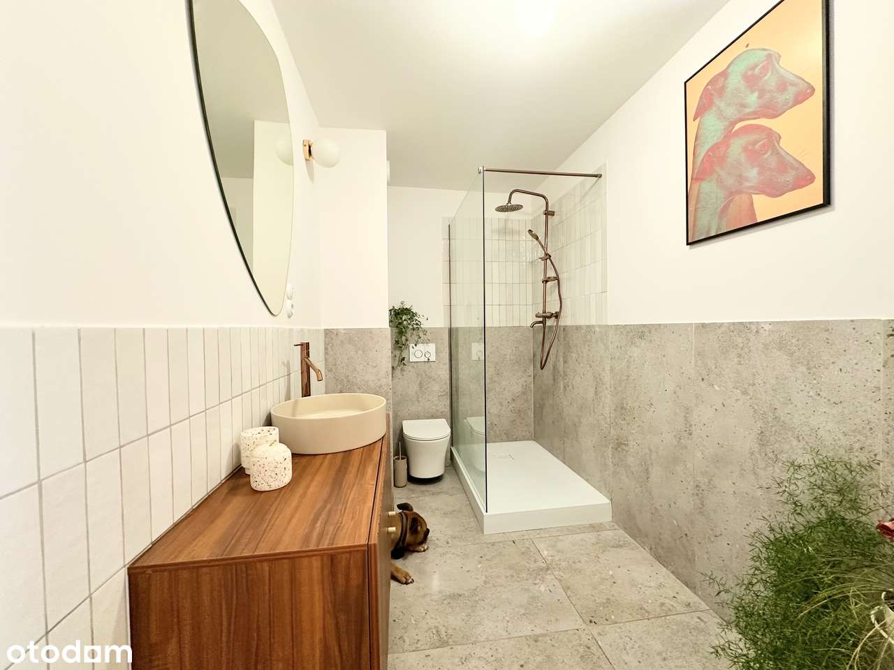 Mieszkanie bezpośrednio Jeżyce  54 m2 3 pokoje kamienica ul żurawia