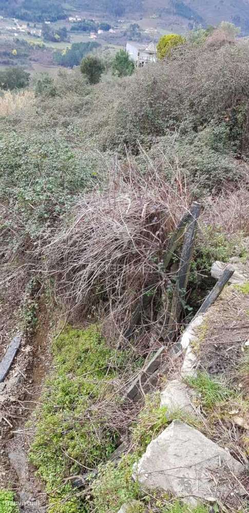 Terreno Rústico - Grande imagem: 2/2