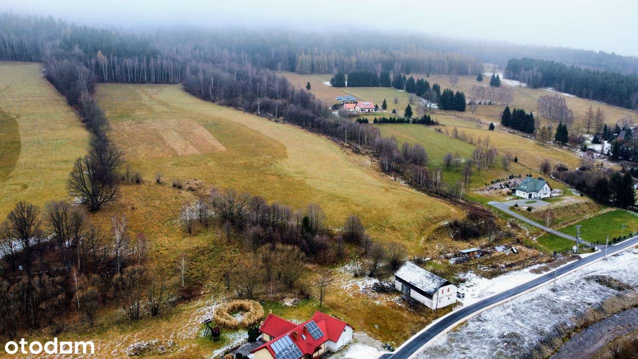 5,5 ha z działką budowlaną – świetne pod domki i agroturystykę-2