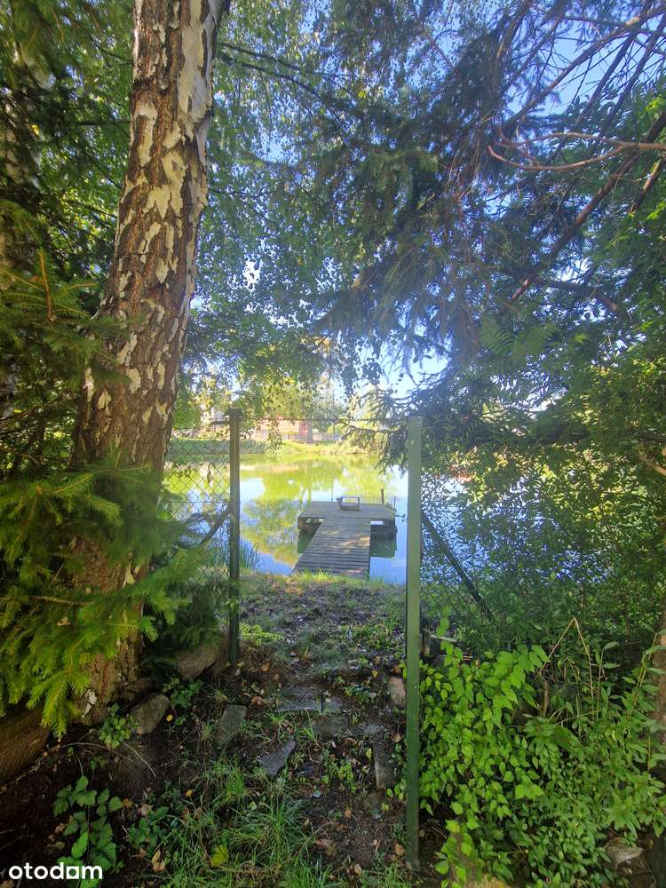 Dom z pięknym ogrodem + duże budynki gospodarcze i dostęp do stawu - Pełny obrazek: 5/20