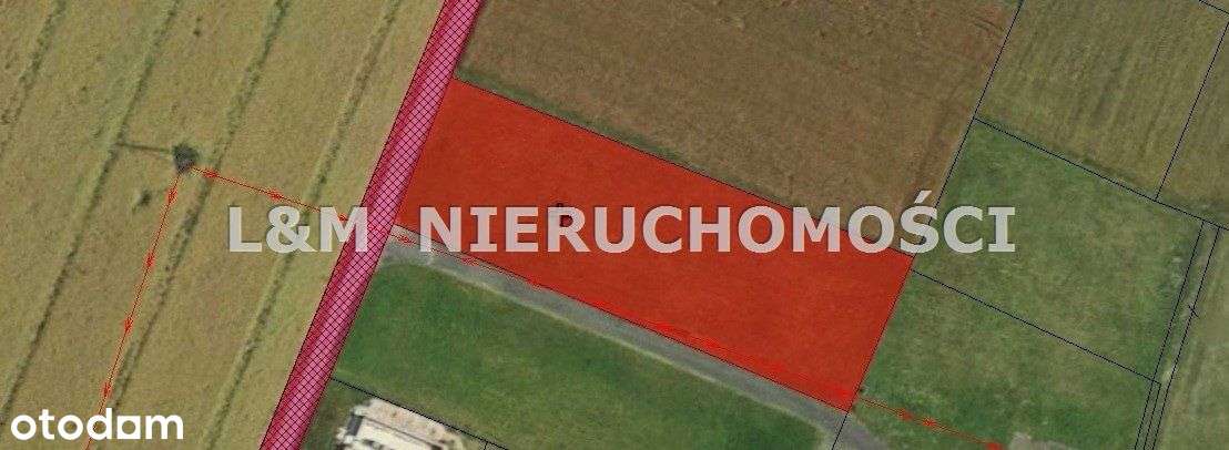 Duża działka w Czuchowie !! - Pełny obrazek: 5/6