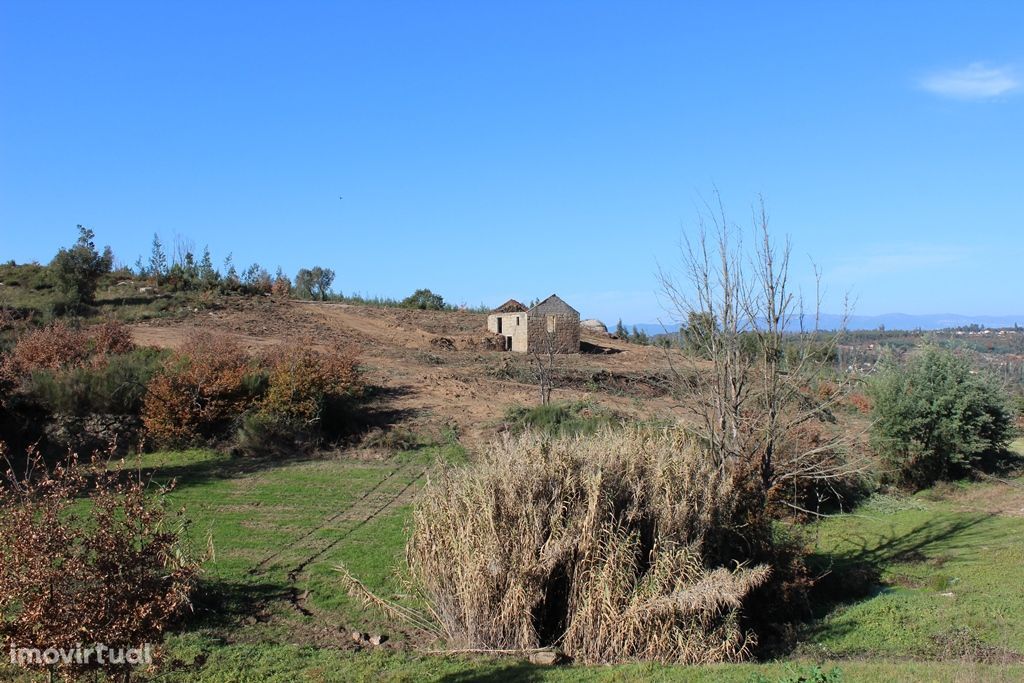 Quinta com 5,3 ha, ruína de pedra e vistas bonitas, Ázere, Tábua