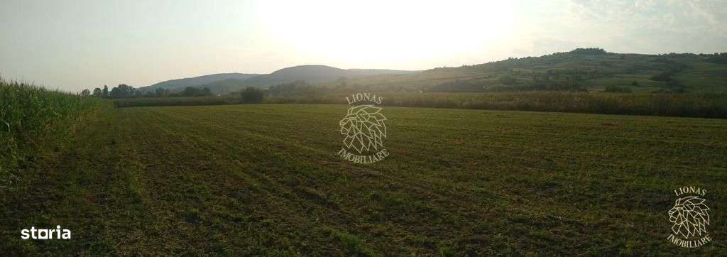 Teren 5500 mp-oportunitate investitie-pretabil cabana-Jelna - Imagine principală: 3/5