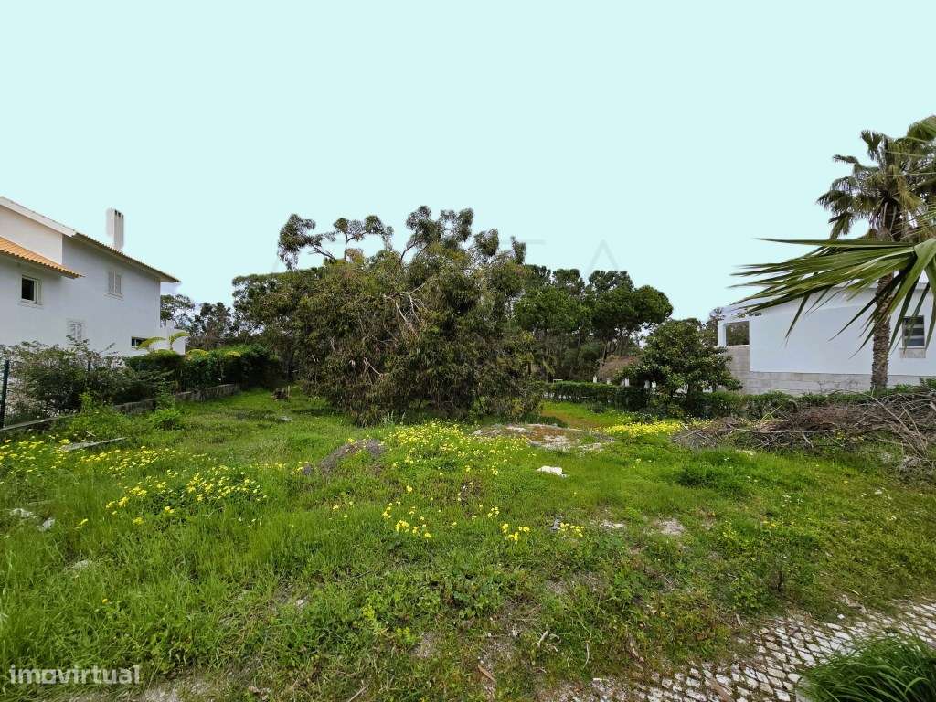 Lote para construção de moradia isolada. 5 minutos da Praia Atlântica - Grande imagem: 5/10