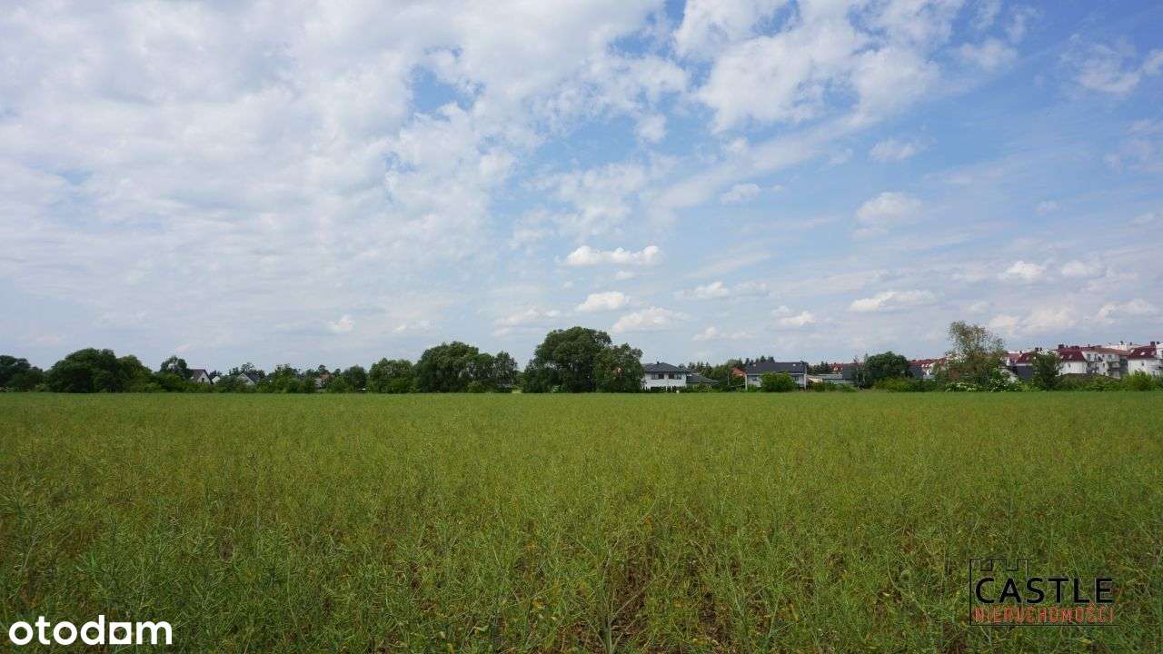 Działka budowlana 3489m2- Zalasewo. - Pełny obrazek: 4/10
