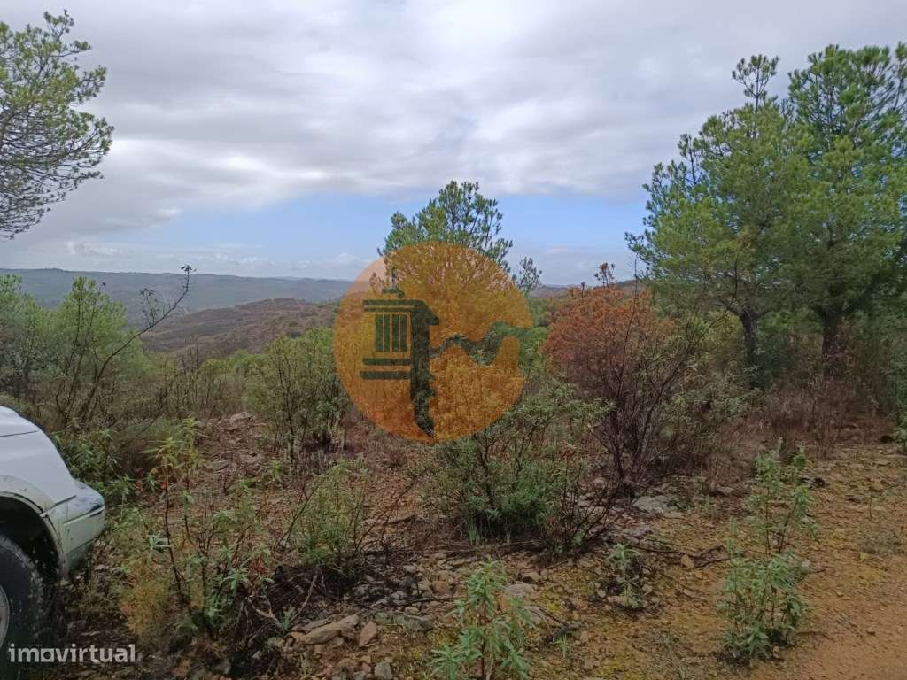 TERRENO COM 60.200 M2 - COM POSSIBILIDADE DE CONSTRUÇÃO - MORADIA -... - Grande imagem: 3/17