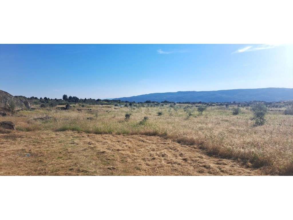 Armazém e terreno agrícola em Estevais, Torre de Moncorvo - Grande imagem: 3/12