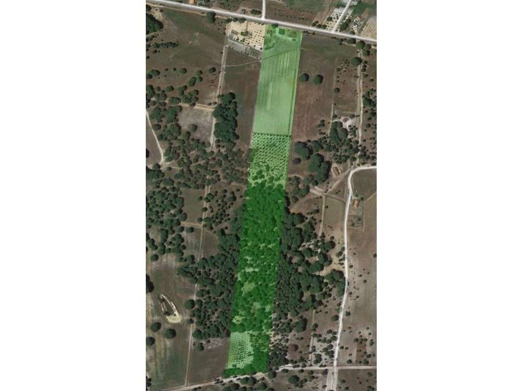 TERRENO Rústico - Grande imagem: 2/24