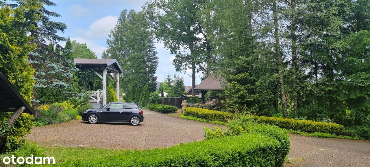 Atrakcyjny teren pod 15 bliźniaków wkomponowanych wśród drzew-7