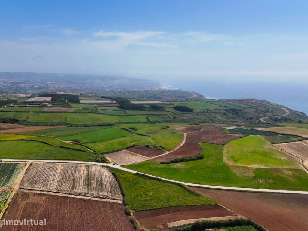 Venda de 2 Terrenos Agrícolas na zona do Paimogo, Lourinhã-18