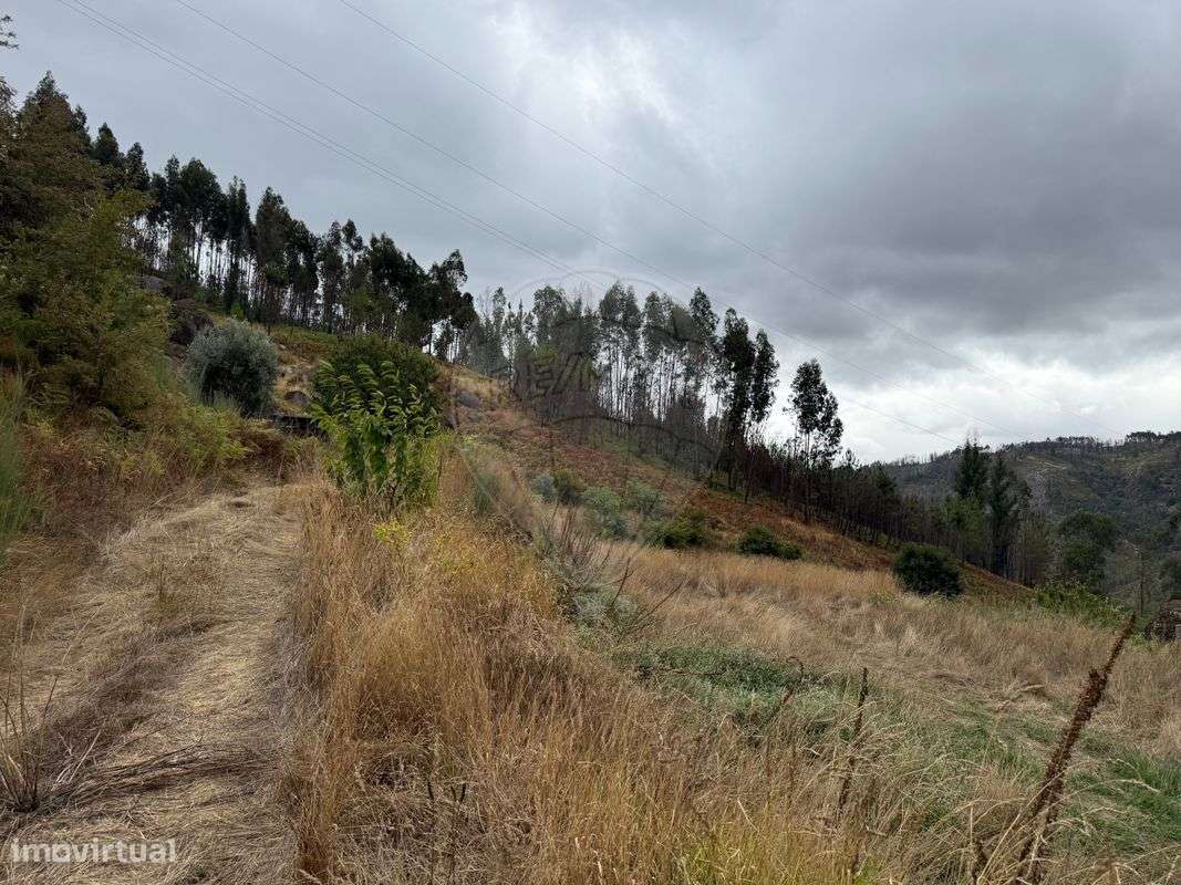 Quinta  para venda-18