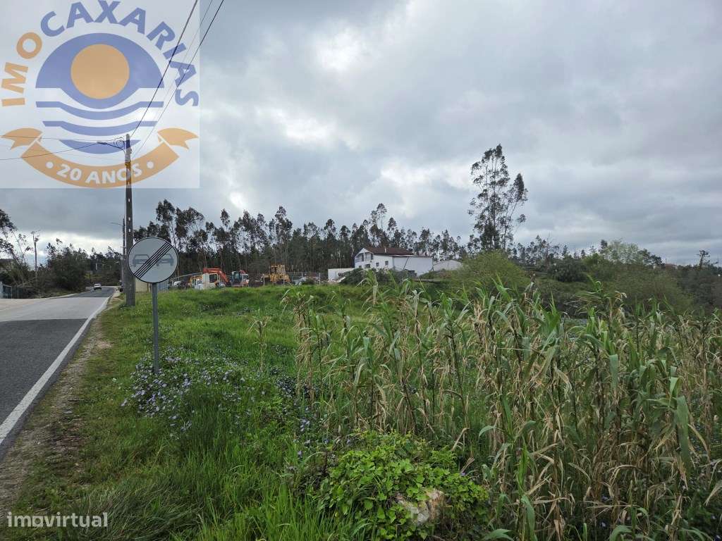 Terreno soalheiro e plano a 2 min de Caxarias e 10 min de Ourém-17