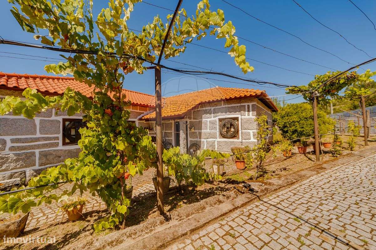 Quinta T3 para venda - Grande imagem: 4/34