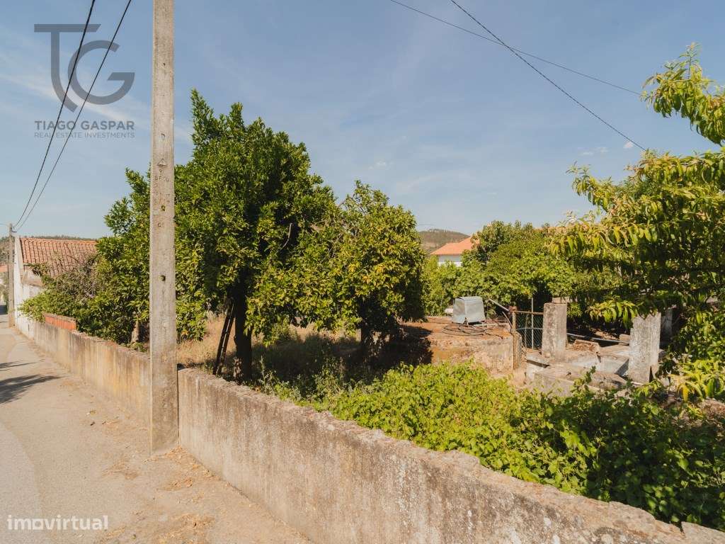 Moradia para recuperar - lote de 808 m² - Casa Branca, Abrantes-13