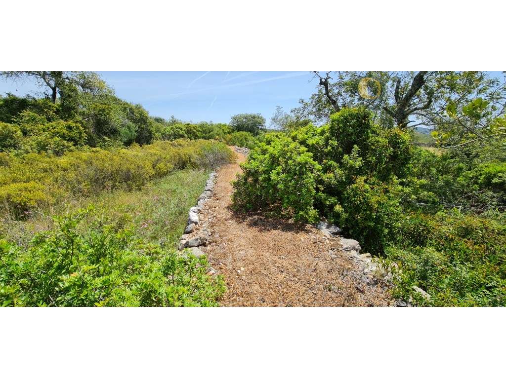 Ruina em terreno de 30400 m2 perto de S. Brás de Alportel - Grande imagem: 1/22