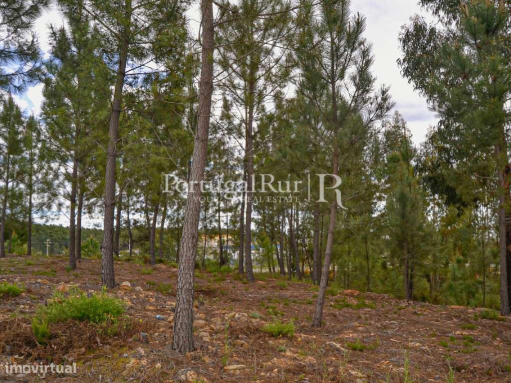 Lote com aptidão para Construção de Moradia - Grande imagem: 5/19