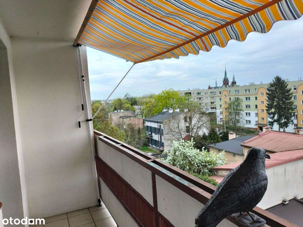 Mieszkanie 3 pokoje na Chojnach Od zaraz! - Pełny obrazek: 5/17