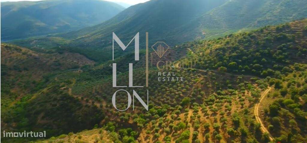 Oportunidade Única de Investimento Agrícola - Grande imagem: 4/10