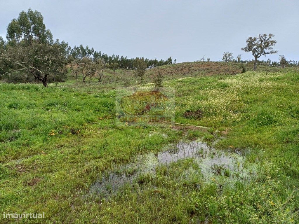 Terreno para Turismo a 20 minutos das praias - Litoral Alentejano - Grande imagem: 1/9