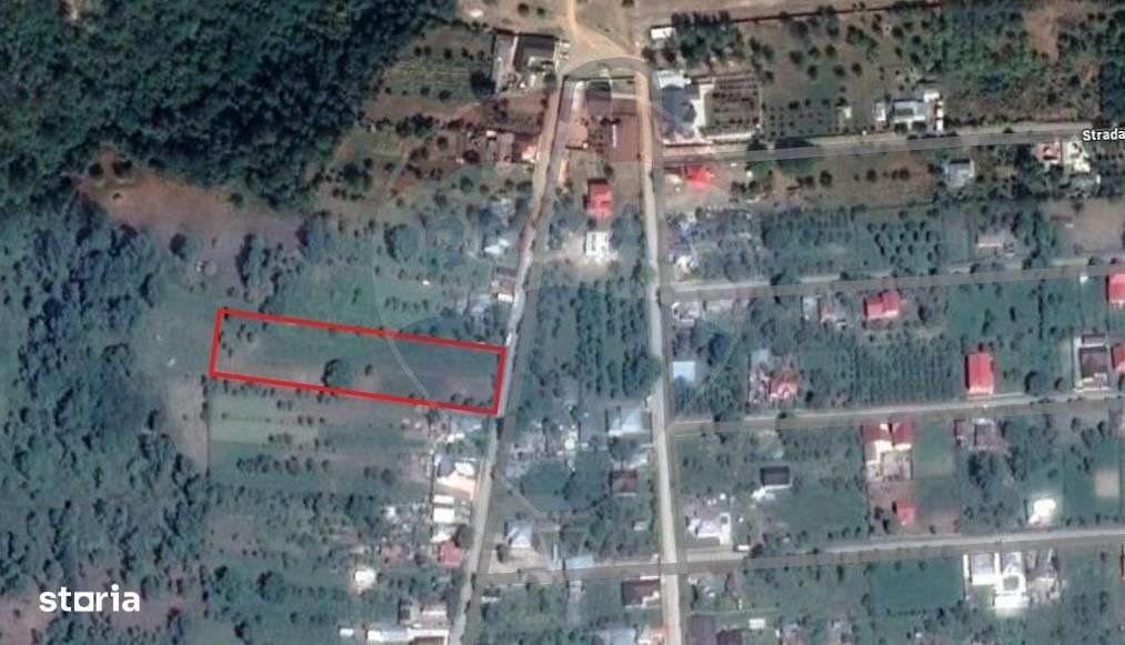 Teren intravilan  7370 mp in comuna Mera - Imagine principală: 2/6