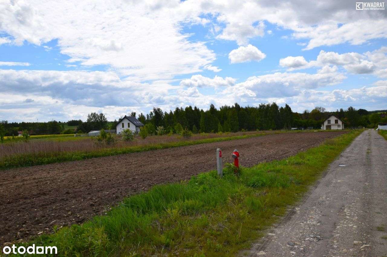 Skrzynice Drugie/ 20 ar/ zabudowa rezydencjonalna - Pełny obrazek: 5/5