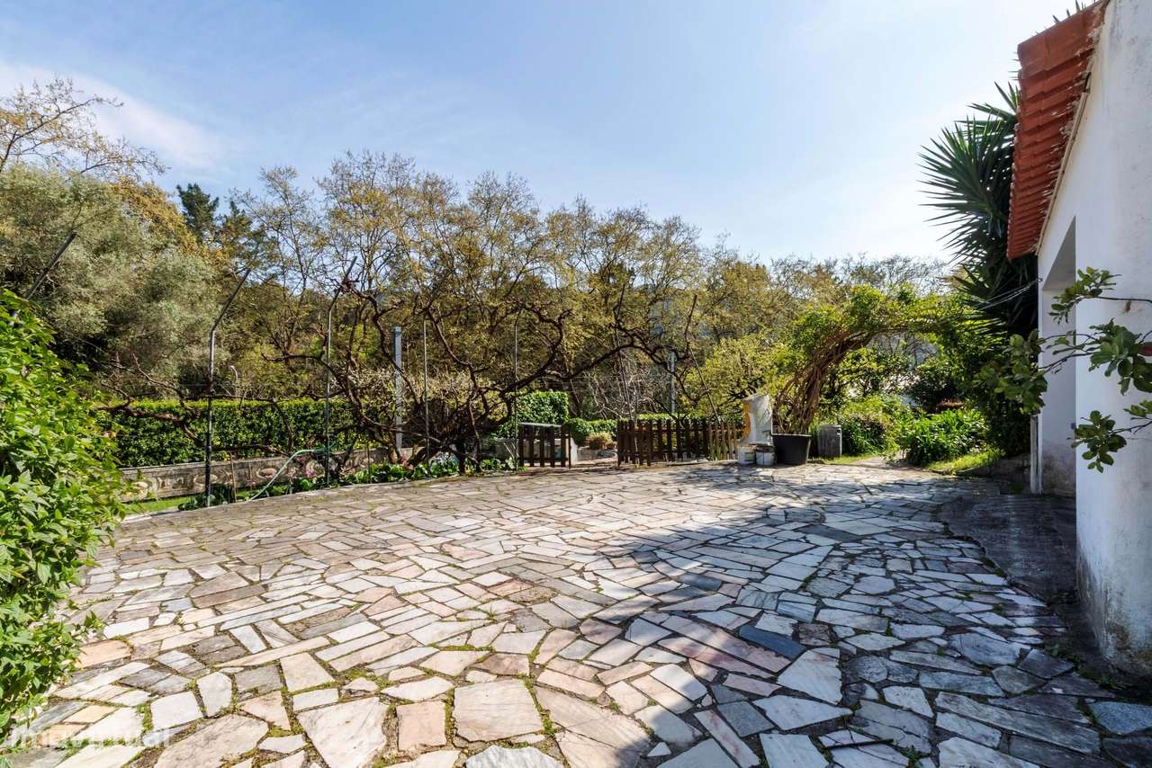 Moradia T6 c/ Terreno de 1600m2 c/ Piscina, Garagem e Anexos em Colare-9