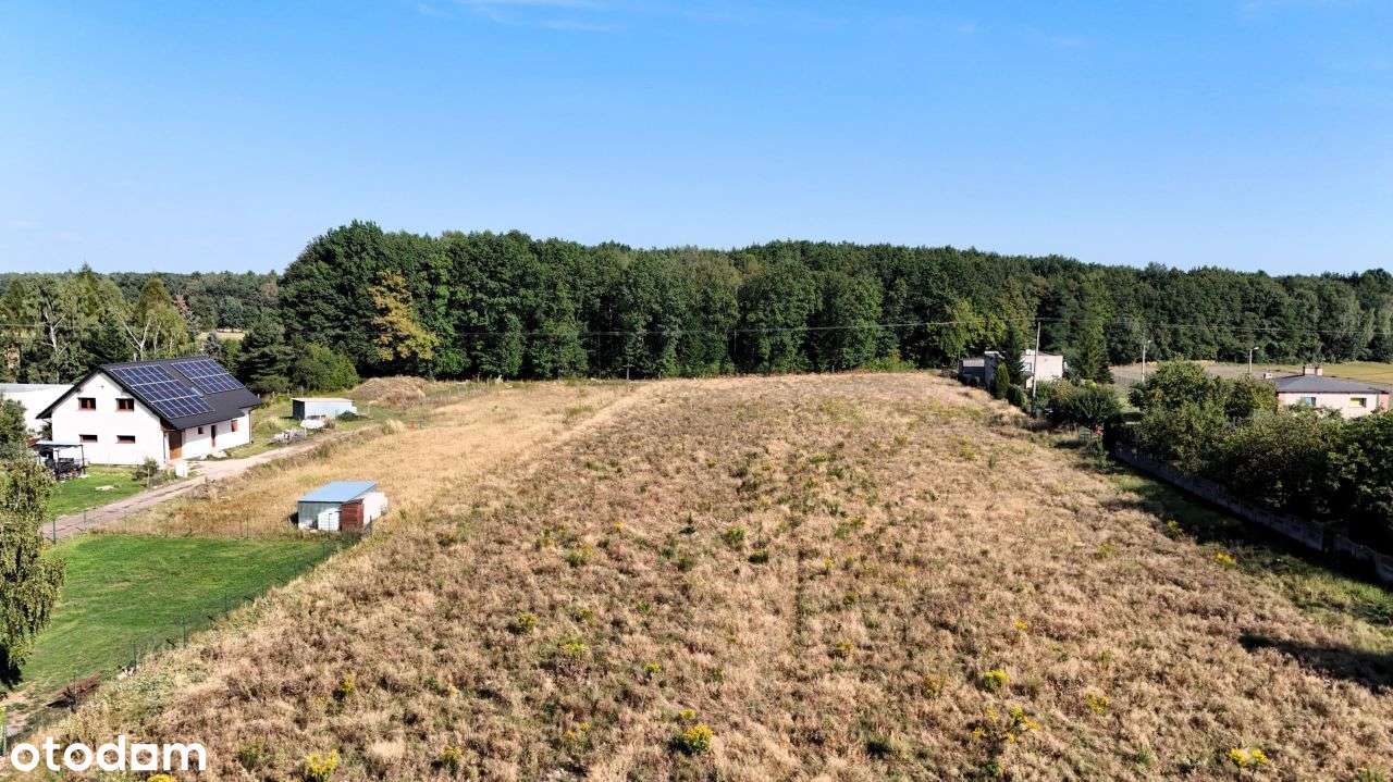 Działka pod lasem. Wszystkie media. Dojazd drogą M - Pełny obrazek: 4/6