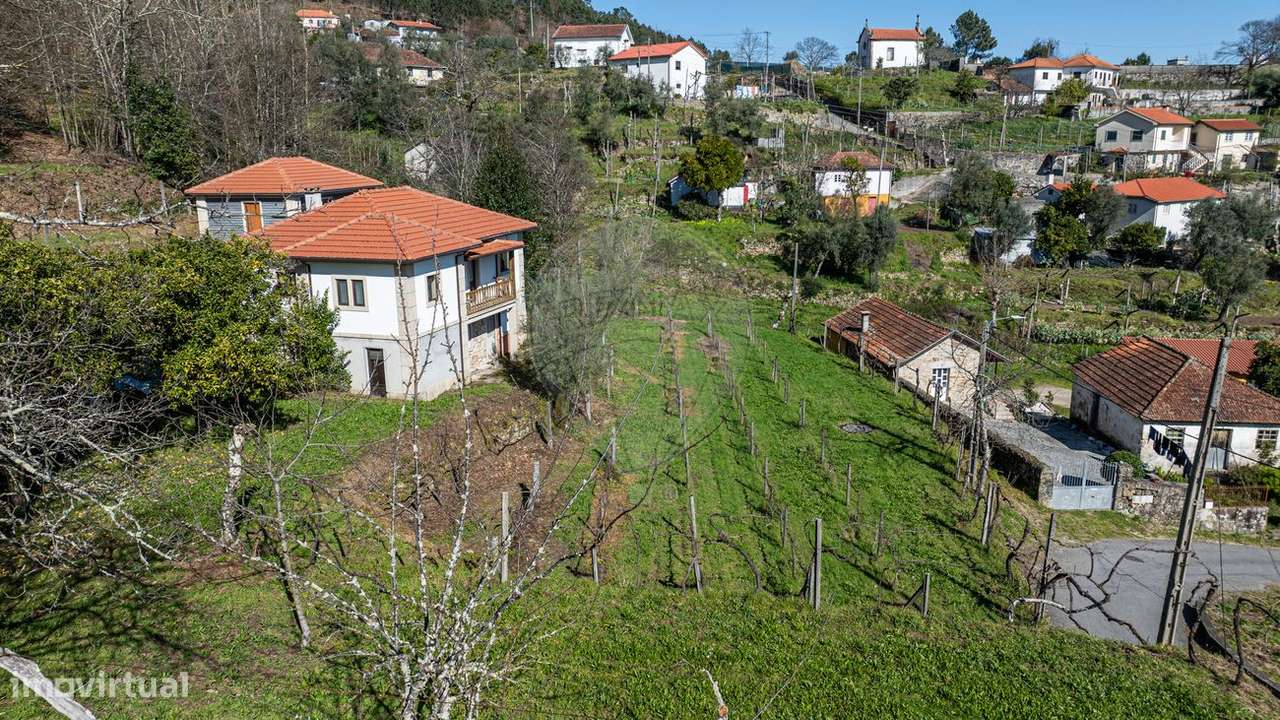 Quinta T5 para venda - Grande imagem: 5/47