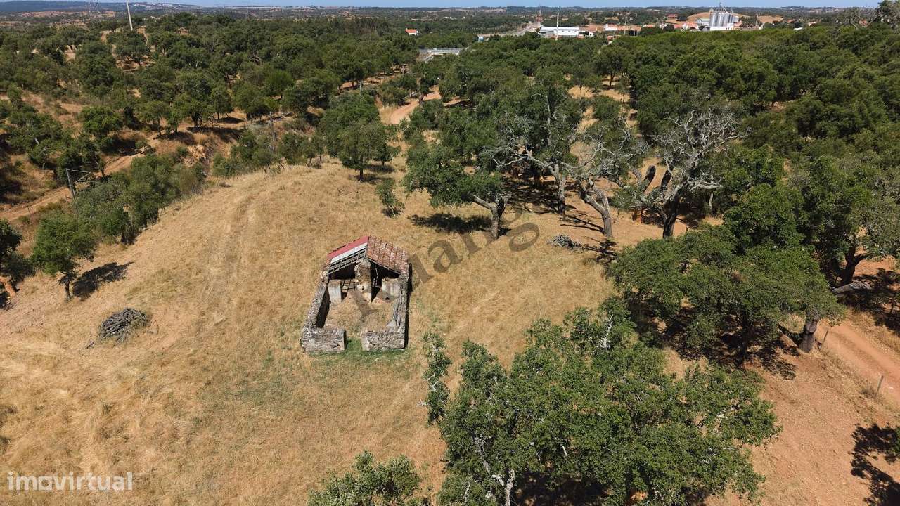 Monte Alentejano com propriedade de 13 HA-18