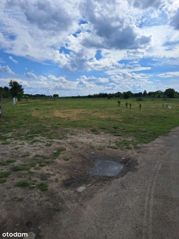 Brzeg, działka budowlana 800 m2 z mediami, dojazd drogą asfaltową - Pełny obrazek: 3/4