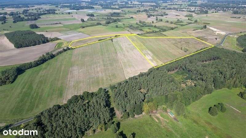 Teren inwestycyjny przy autostradzie A2 – woj. Lub - Pełny obrazek: 4/8