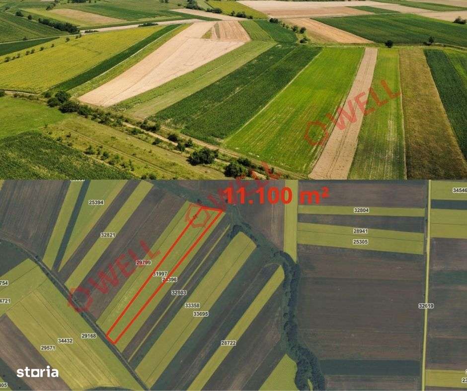 De vânzare 8 parcele de teren extravilan în apropierea loc. Măgheruș! - Imagine principală: 5/7