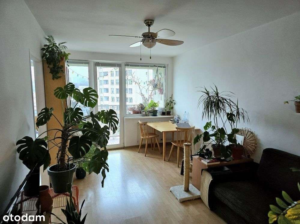 Ciche 2 pokoje z loggią na Powiślu-0