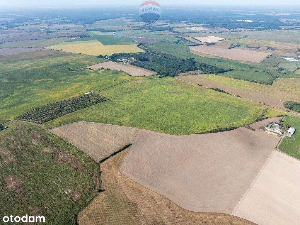 Inwestycyjna rolna działka Łubowice obok Poznania - Pełny obrazek: 4/11