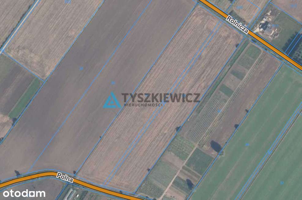 Rokitnica działka rolna - Pełny obrazek: 5/6