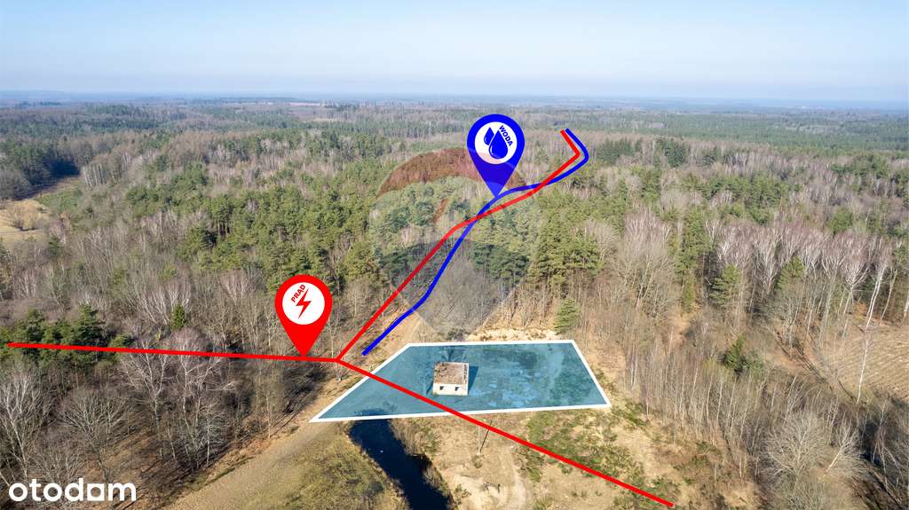 Dom w głębi lasu! - Pełny obrazek: 5/13