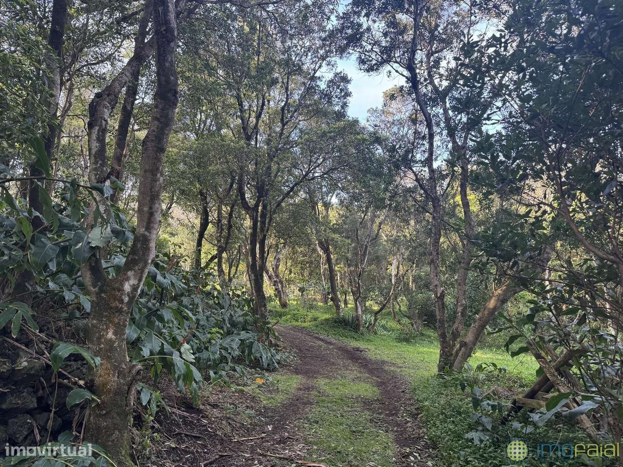 Venda Prédio - Grande imagem: 5/35