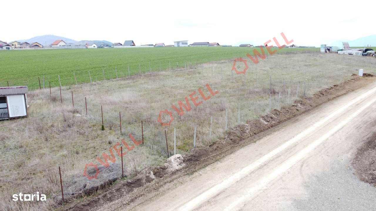 Teren intravilan de vânzare între Bod și Sânpetru! - Imagine principală: 2/7