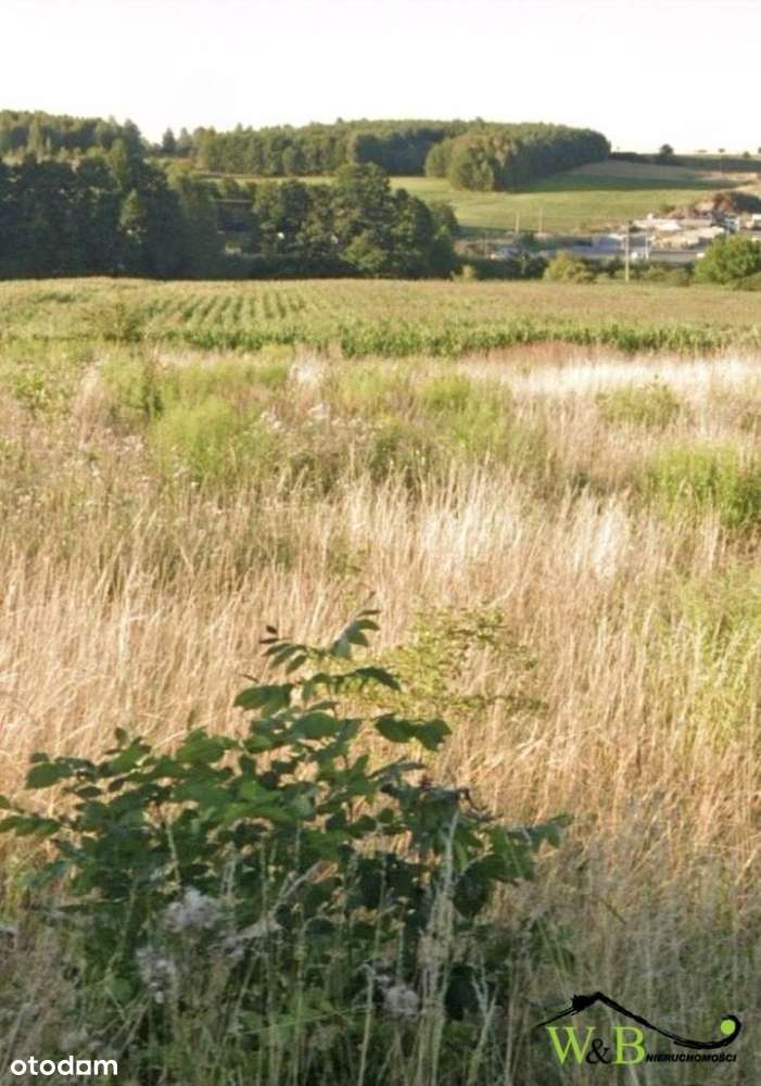 Działka budowlana w Rzeniszowie - Pełny obrazek: 5/11