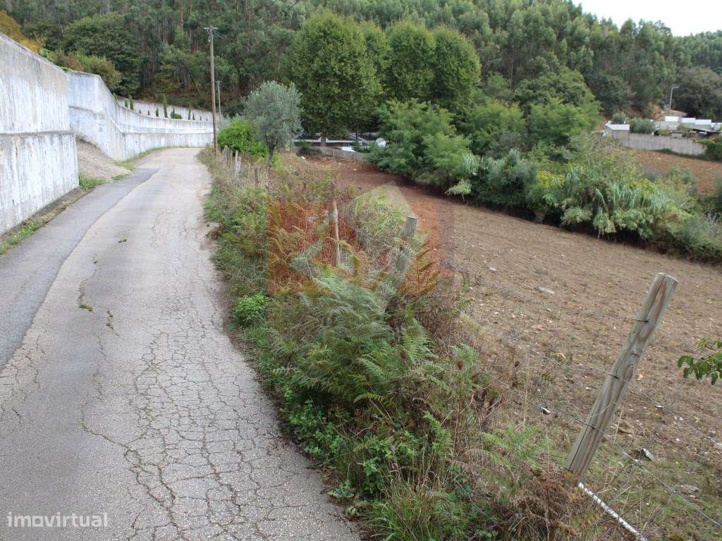 Terreno Rústico em Caneças-8