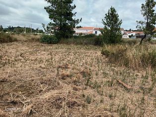 Vendo 2 terrenos urbanos com ligação entre si - Grande imagem: 3/6