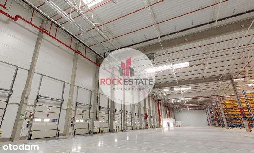 Magazyn od zaraz 4962 m2 w Kielcach 0% prowizji